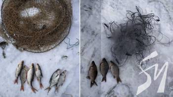 ������������ ������������� �������� �� ���� ������� ��� ��������� ������ ���������� � �������� ���